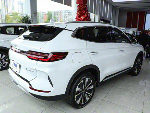 2025�� DM-i 75KM ������