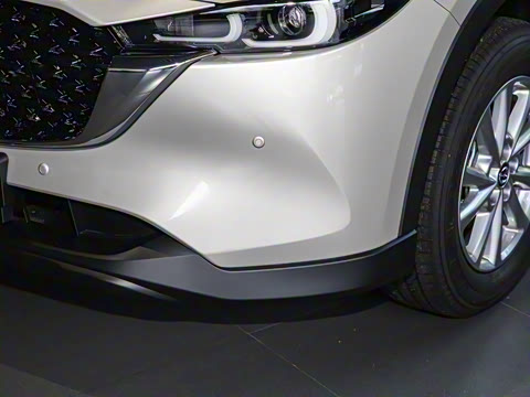 2024�� 2.0L �Զ�����������