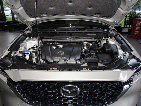 2024�� 2.0L �Զ�����������