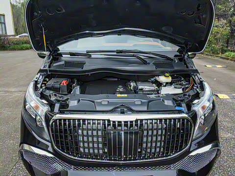 2025�� 2.0T ʢ��