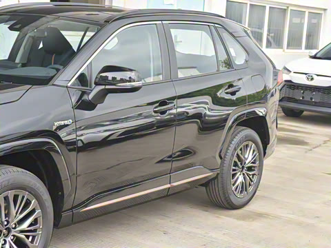 2024�� ˫�� 2.5L E-CVT��������PLUS��