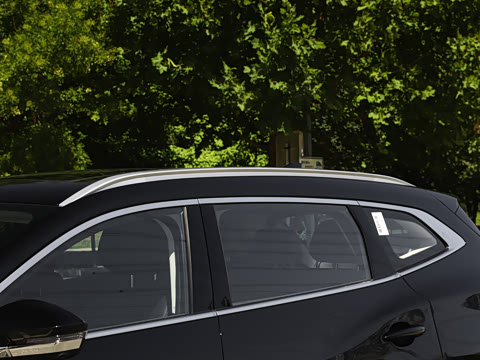 2025�� 300T ������ҫ��