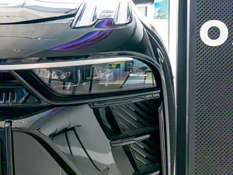 2023�� 2.0TD DCT��Pro