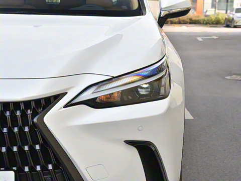 2025�� 260 ǰ�� �ر��