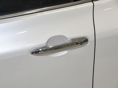 2024�� ˫�� 2.0L ������