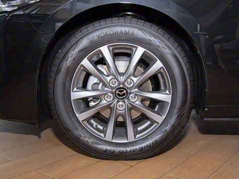 2023�� 2.0L �Զ������