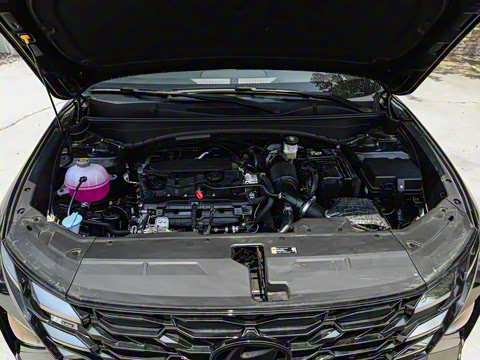 2025�� ;ʤL 1.5T ��Ӣ�� N-Line