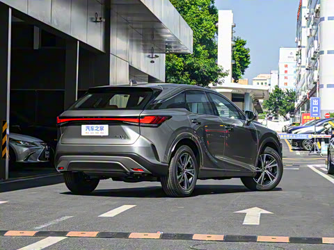 2025�� 300 ����������