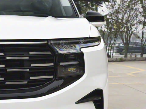 2025�� ���L 2.0T EcoBoost ��������������