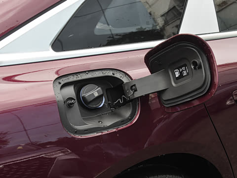 2025�� 260������������