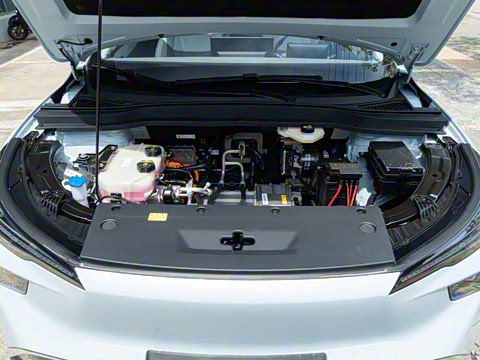 2025�� 445km ���ð�