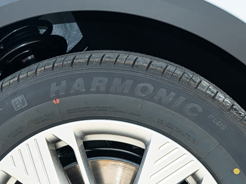 2025�� 445km ���ð�