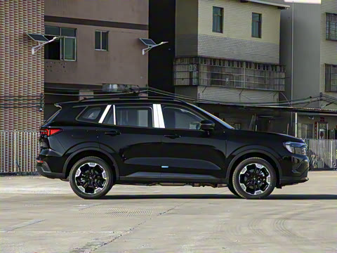 2025�� ������