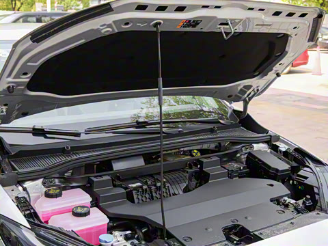 2023�� 415km �����ھ�������