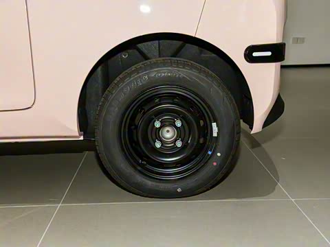 2025�� 205km ʥ����