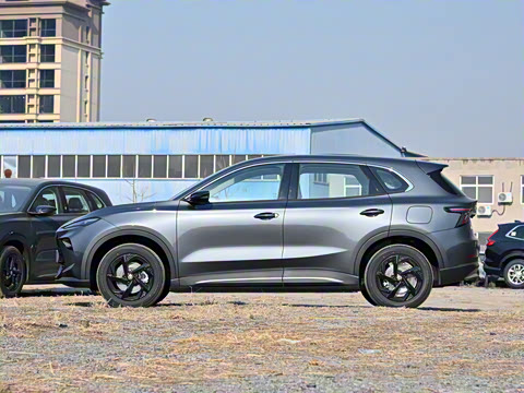 2025�� 425pro ������