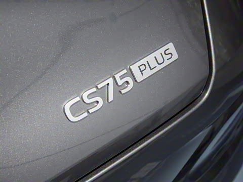 2025�� ���Ĵ� 1.5T ������ �ǻ�������