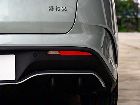 2024�� DM-i 80KM�����