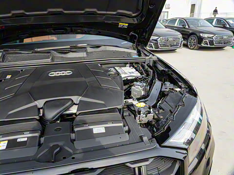 2025�� 55 TFSI quattro S line����ʿ��