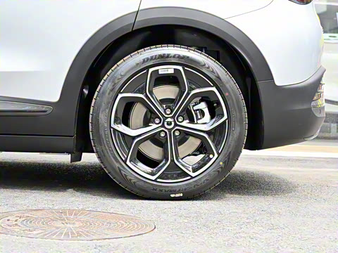 2024�� �Ͷ���������