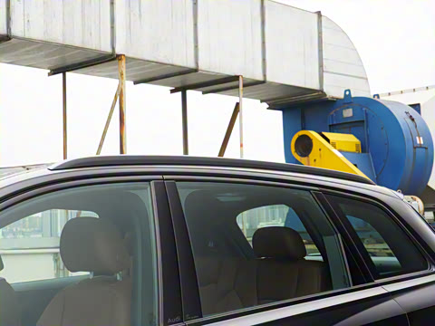 2025�� 55 TFSI quattro S line��ѩ�˶���