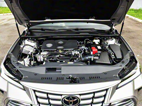 2024�� 2.0L ��ѡ��