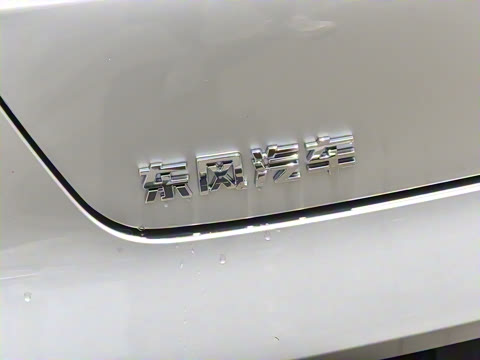 2025�� ���� 230AirѲ����