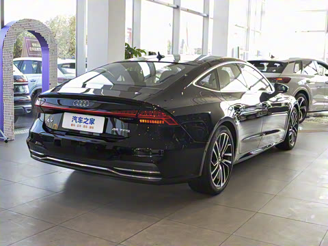2025�� 45 TFSI ��ѡ��