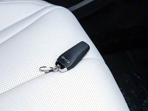 2024�� DM-i 80KM�����