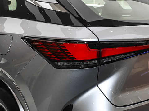 2025�� 300 ����������