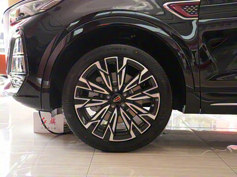 2023�� 2.0T ��������Pro��