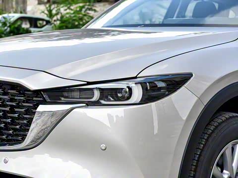 2025�� 2.0L �Զ���������Pro