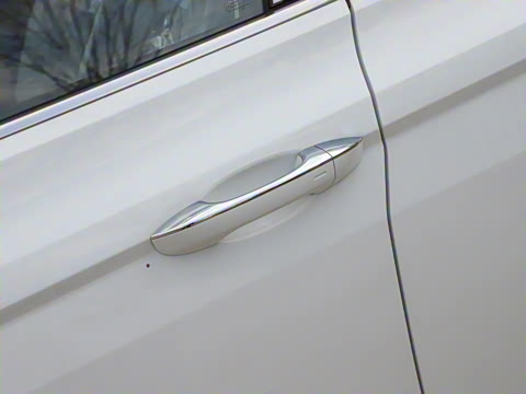 2025�� �Ŀ� 300TSI DSG���а�