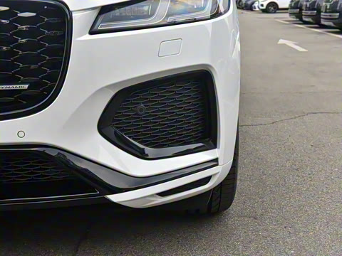 2025�� P250 R-Dynamic SE