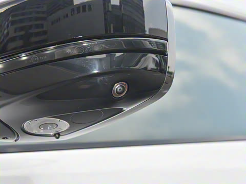 2025�� P250 R-Dynamic SE