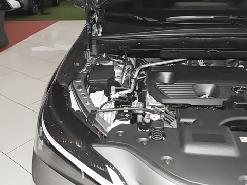 2024�� 260 ǰ�� ���ð�