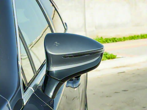 2025�� DM-i 115KM ������