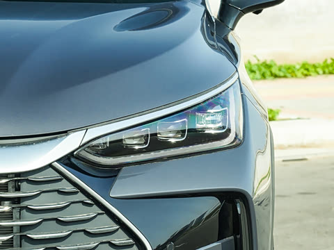 2025�� DM-i 115KM ������