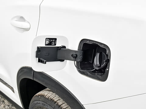 2025�� 390T ���������