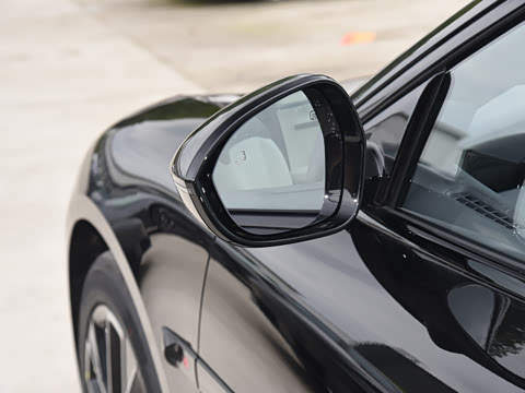 2025�� Max�����