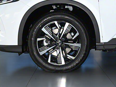 2025�� DM-i 115KM������