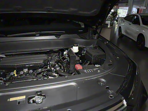 2023�� ���հ� 1.5T DCT �ھ������