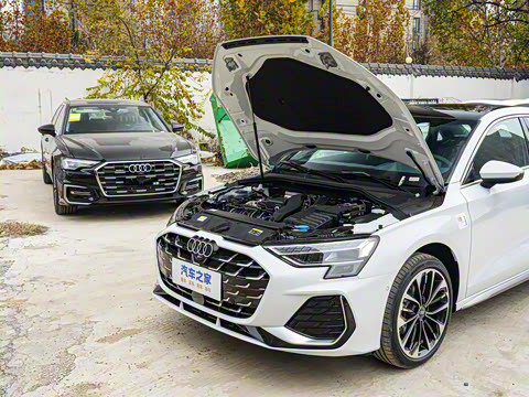 2025�� A3L Limousine 35TFSI �ɳ������� +������ѡ��