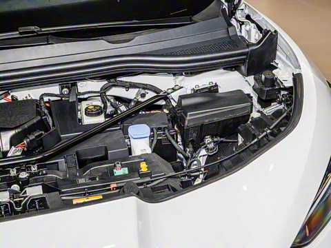 2024�� Pro ��������