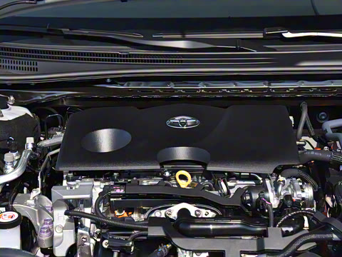 2024�� ˫�� 2.0HS �˶���