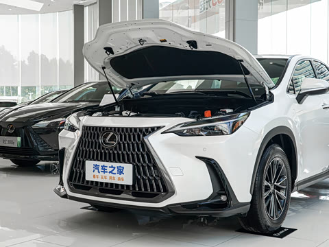 2024�� 350h ȫ�� ���ΰ�