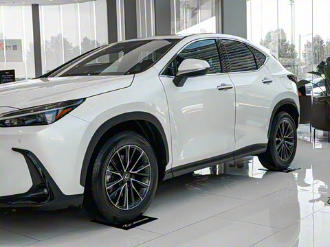 2024�� 350h ȫ�� ���ΰ�