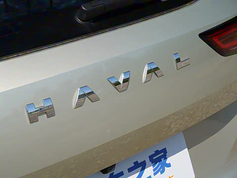 2024�� 1.5T ����Max