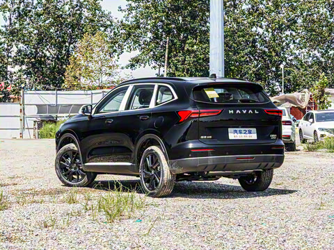 2024�� 2.0T ����Max