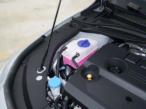 2025�� 1.6T DCT��